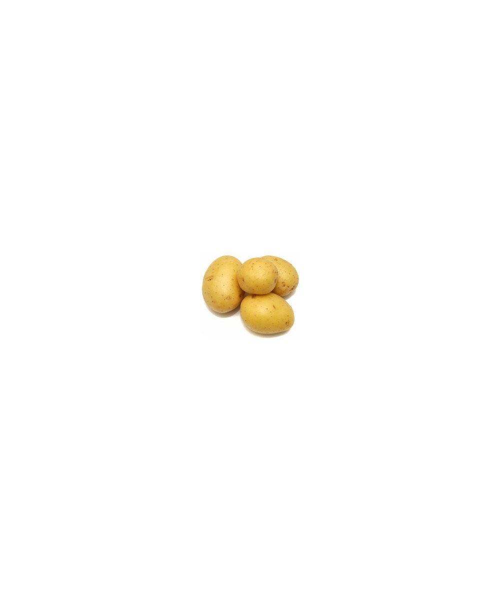 FD22 - 15 Kg. Patata Extra para Freír y Cocer FD22 - 15 Kg. Patata Extra para Freír y Cocer