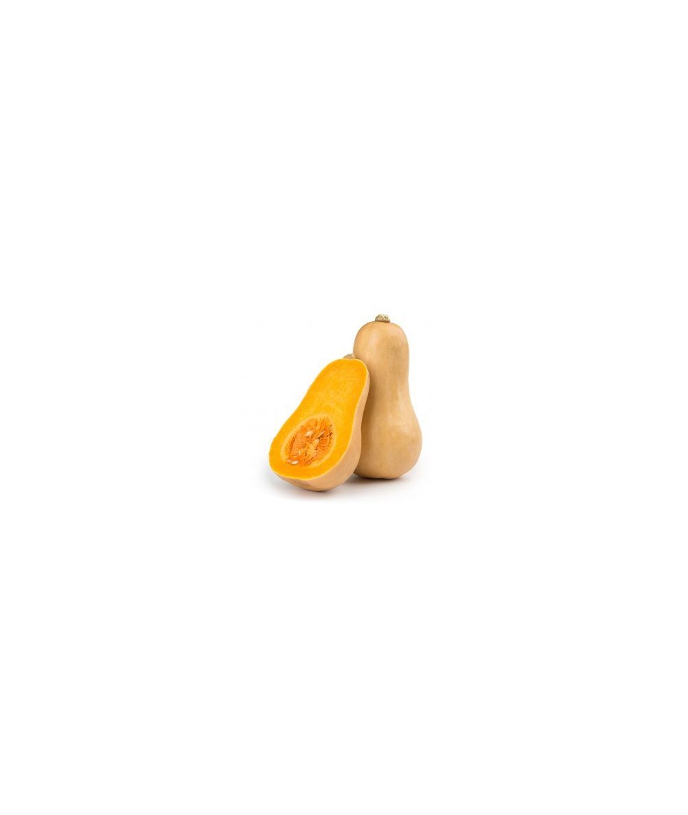 Calabaza Butternut Calabaza Butternut