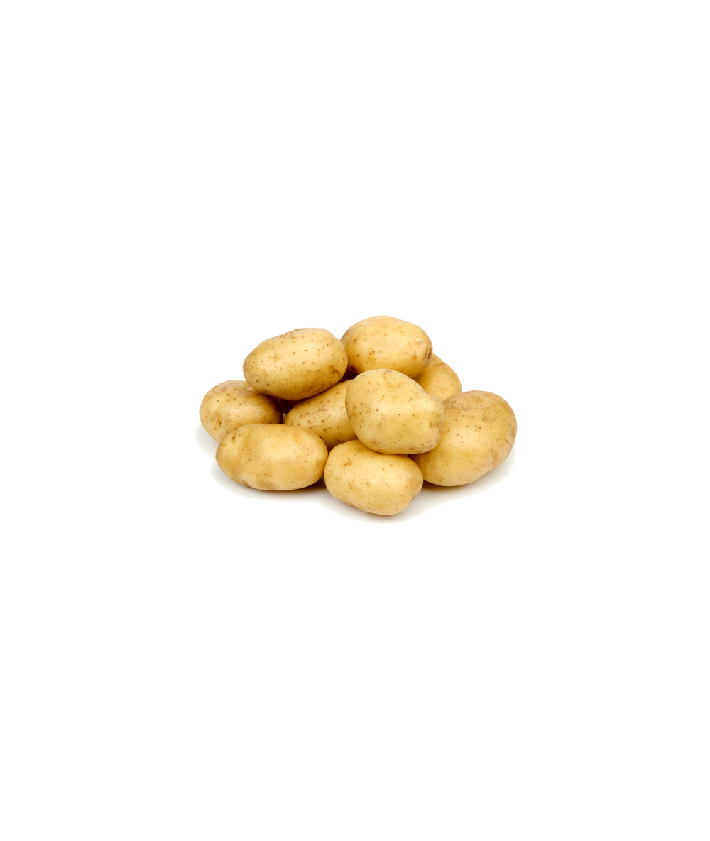 Patata del terreno