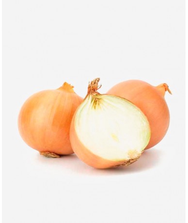 Cebolla Nueva 15Kg  fruteriadirecta.es Cebolla Nueva 15Kg  fruteriadirecta.es