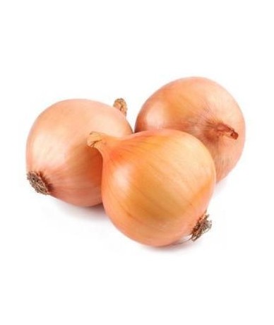 Cebolla Nueva 10Kg  fruteriadirecta.es Cebolla Nueva 10Kg  fruteriadirecta.es