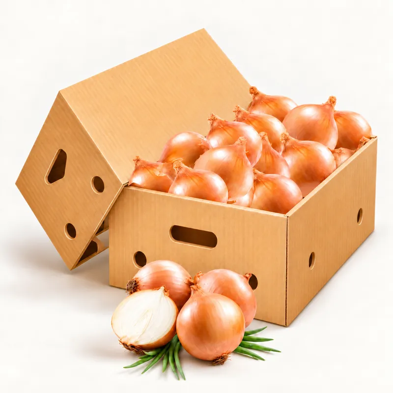Cebolla nueva en cajas de 5 a 15 kg